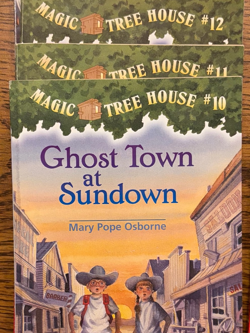 Magic Tree House #10-13 & 19 - Illustrated Paperback